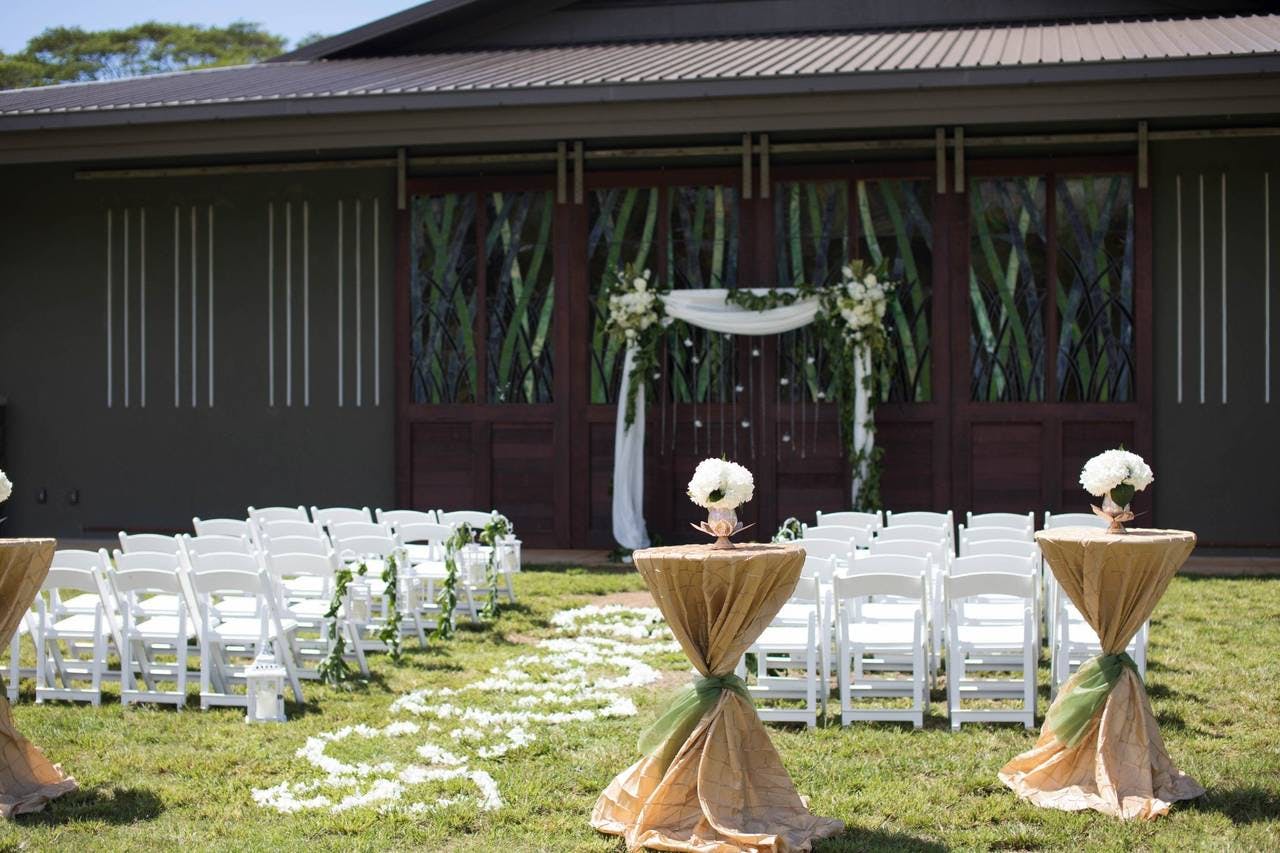 Alt Tag: Kauai Wedding Photographer at Anaina Hou Community Park in Kilauea, HI