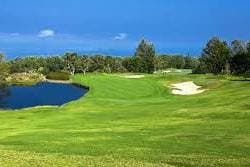 Photographer at Makalei Golf Club capturing stunning coastal views and beautiful wildlife in Kailua Kona, HI - Salt Drifter Photography.