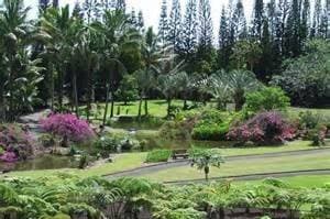 Nani Mau Gardens - Venue in Hilo, HI - Salt Drifter Photography - Big Island Wedding Photographer.