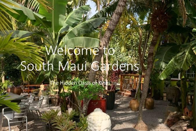 Photographer capturing beautiful moments at South Maui Gardens in Kihei, Hawaii - Salt Drifter Photography.