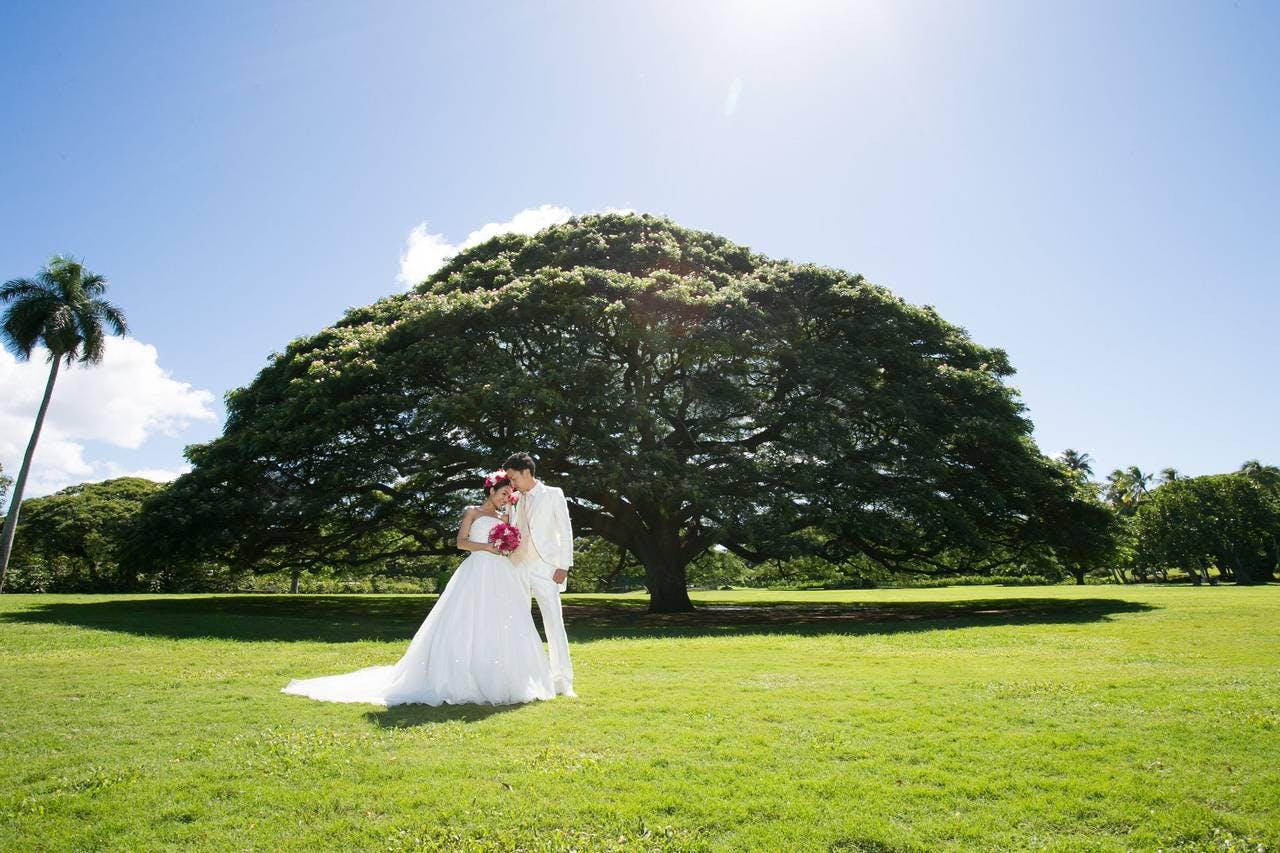 oahu-honolulu-photographer-moanalua-gardens